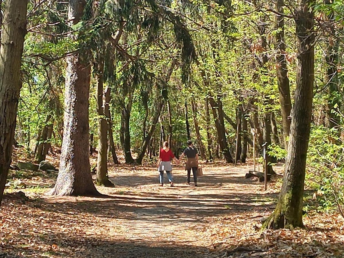 Antica Casa Al Lago Oggebbio Luaran gambar