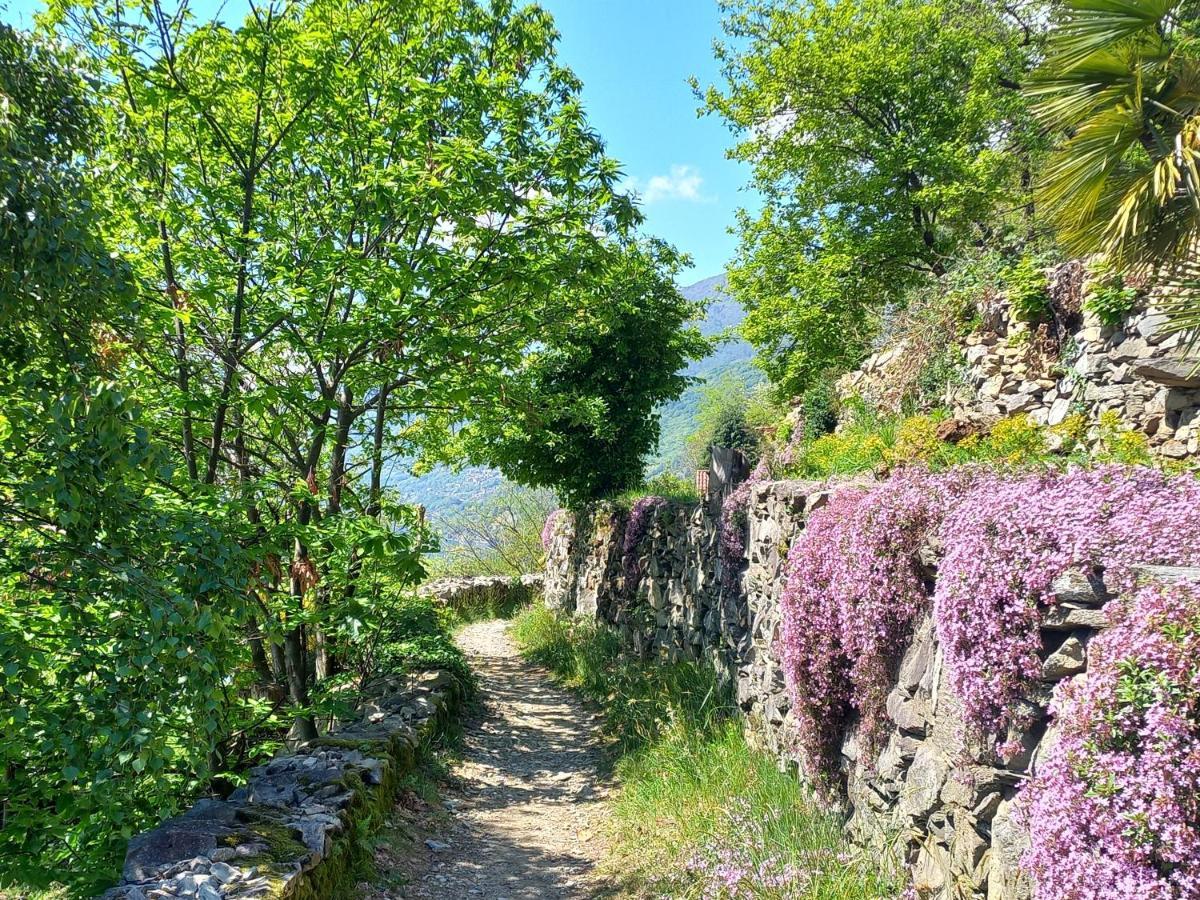 Antica Casa Al Lago Oggebbio Luaran gambar